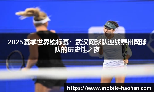 浩瀚体育登录入口